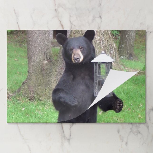 Bloc De Hojas Oso negro (Plegada)