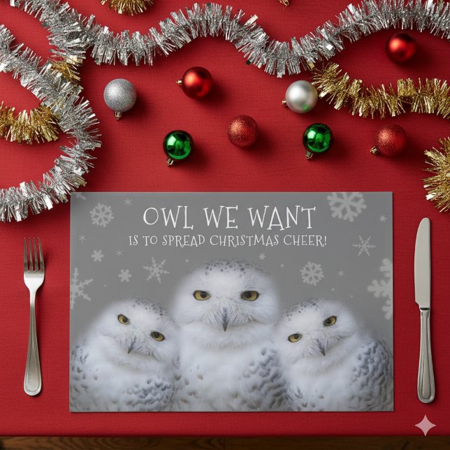 Bloc De Hojas Owl Queremos Navidades Esparcidos Que Alegren A La (Trio of Snowy Owls Paper Placemats Cover Photo 1)