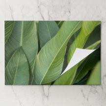 Papel Posavasos de Hojas Tropicales Verdes
