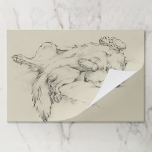 Bloc De Hojas Perro Cansado