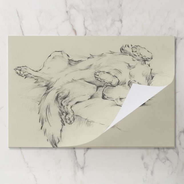 Bloc De Hojas Perro Cansado (Plegada)