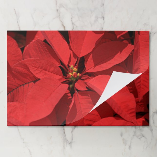 Bloc De Hojas Placemáticas de papel de Navidades de Poinsettia (Plegada)