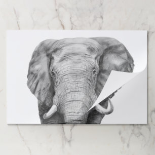 Bloc De Hojas Plan de respaldo IV