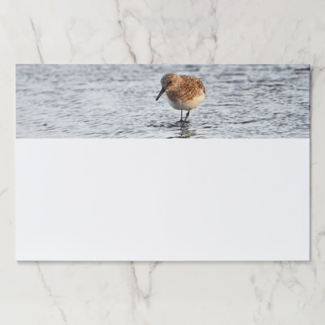 Bloc De Hojas Sandpiper Bird Photo Stationery Large Note Pad (Anverso)