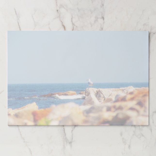 Bloc De Hojas Un post de Gull (Anverso)