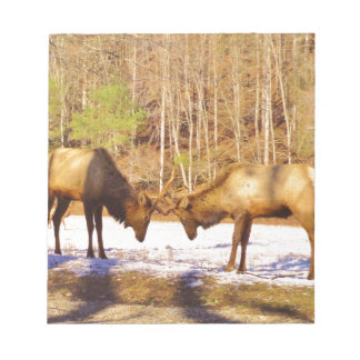 Bloc De Notas 2~ dos toros en la nieve
