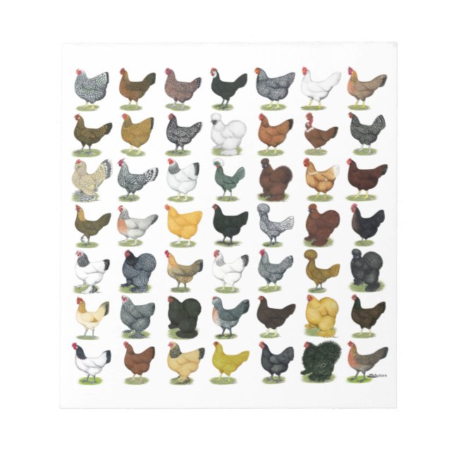 Bloc De Notas 49 gallinas (Frente)