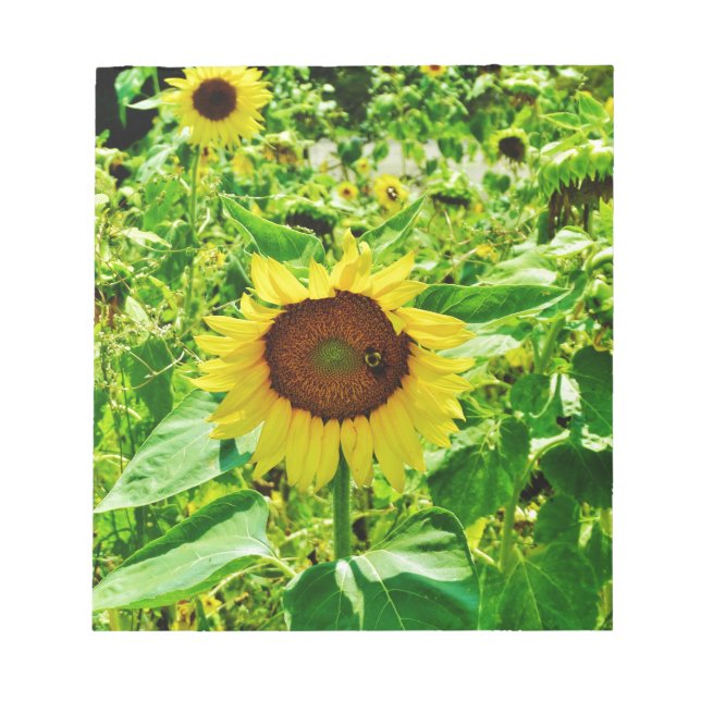 Bloc De Notas Abeja en el girasol amarillo (Frente)