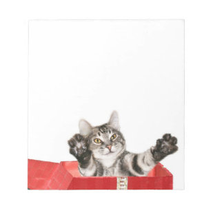 Bloc De Notas Abrazo del navidad del gatito