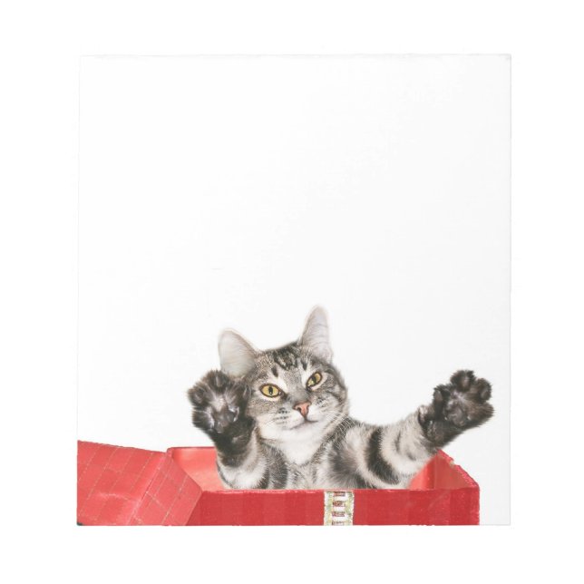 Bloc De Notas Abrazo del navidad del gatito (Frente)