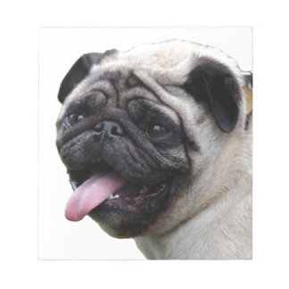 Bloc De Notas Accesorios de foto del Pug blanco guapo, agregar n