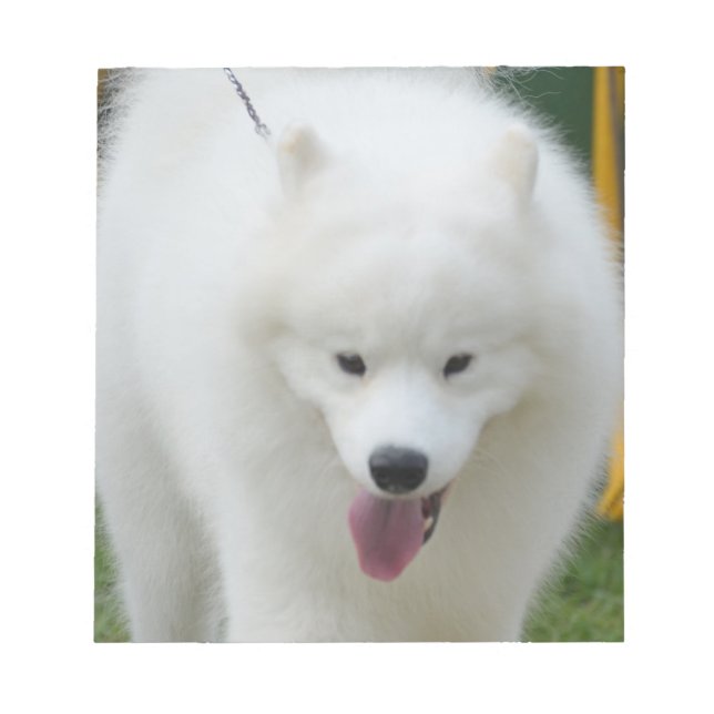 Bloc De Notas Adorable perro esquimal americano (Frente)