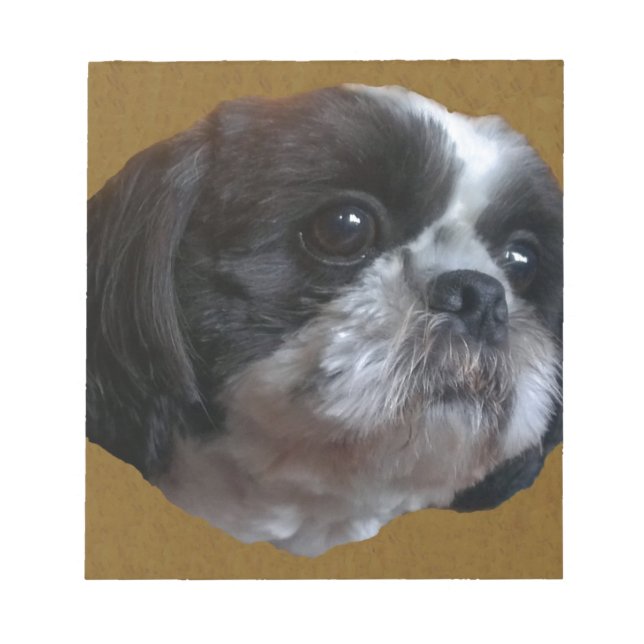 Bloc De Notas Adorable Shih tzu Rico (Frente)