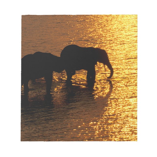 Bloc De Notas África, Botswana, Delta del Okavango. Africano (Frente)