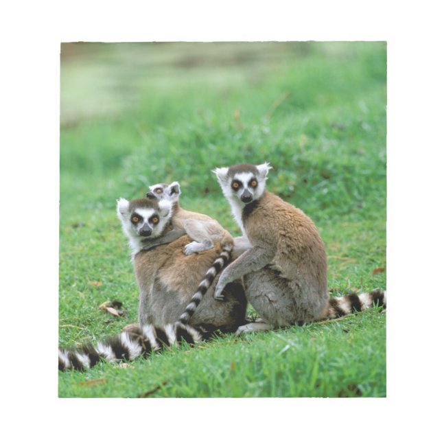 Bloc De Notas África, Madagascar, Antananarivo, Tsimbazaza (Frente)