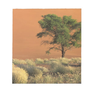 Bloc De Notas África, Namibia, Parque Nacional Namib, Sossusvlei