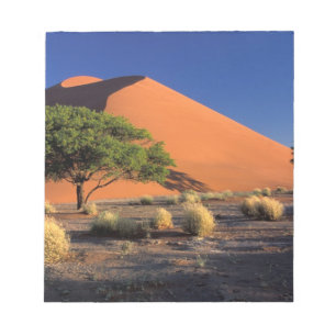 Bloc De Notas África, Namibia, Parque Namib-Naukluff, Sossosvlei