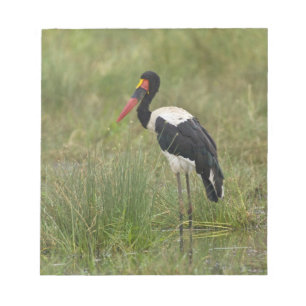 Bloc De Notas África. Tanzania. Cigüeña Silla de Silla macho