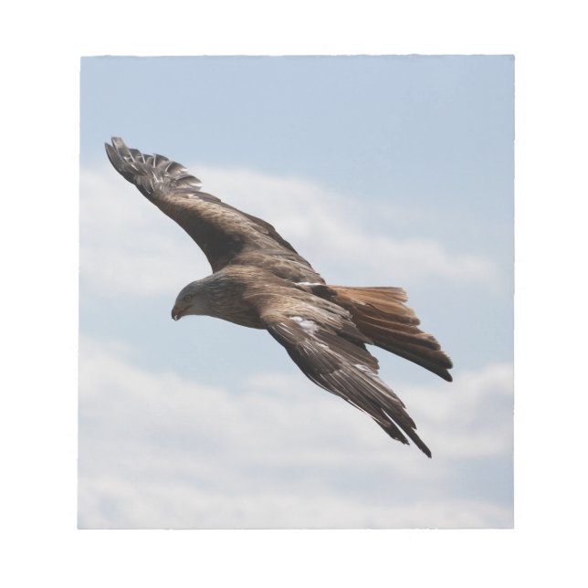 Bloc De Notas Águila (Frente)