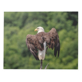 Bloc De Notas Águila calva en una rama