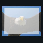 Bloc De Notas Águila calva pasa volando cerca<br><div class="desc">Águila calva pasa volando de cerca</div>