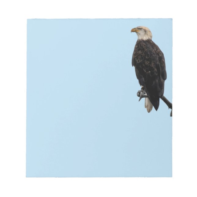 Bloc De Notas Águila de notas (Frente)