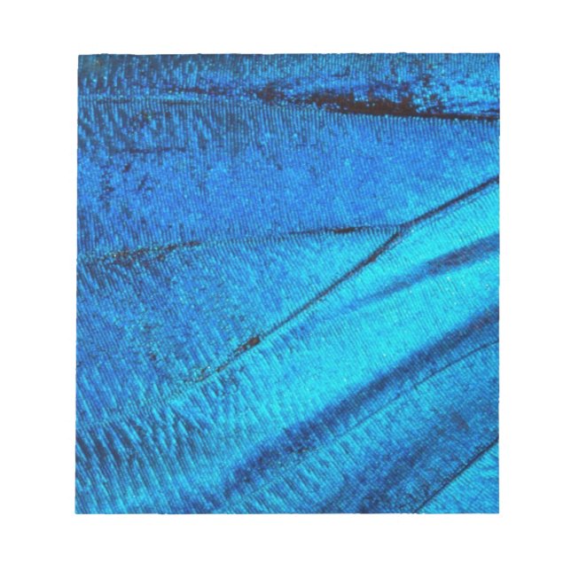 Bloc De Notas Ala de mariposa azul irlandés (Frente)