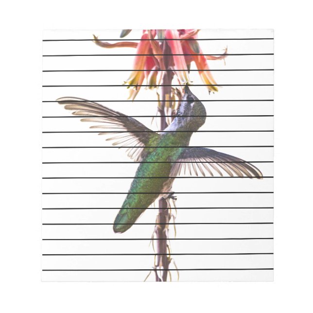 Bloc De Notas Alas de colibrí (Frente)