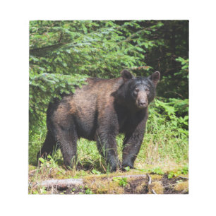 Bloc De Notas Alfa Black Bear