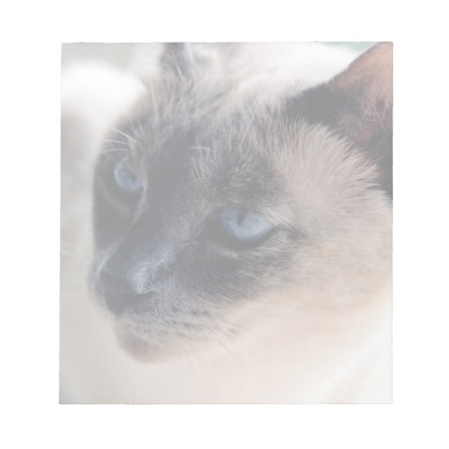Bloc De Notas Aloof Siamese Cat Notepad (Frente)