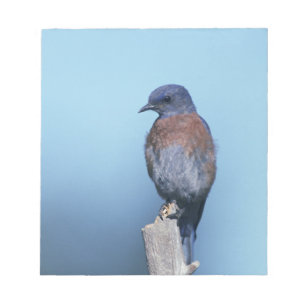 Bloc De Notas Aluminio