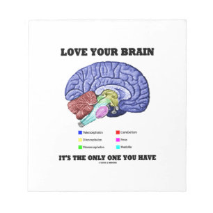 Bloc De Notas Ama tu cerebro es el único que tienes (humor)