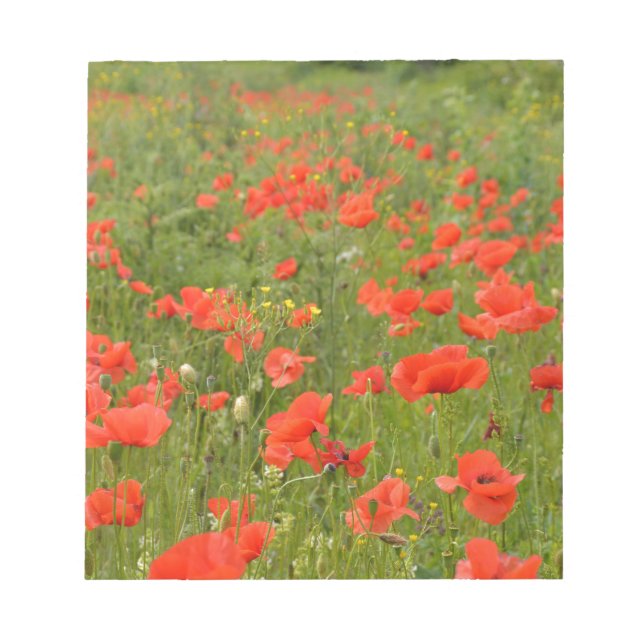 Bloc De Notas Amapolas rojas en el campo (Frente)