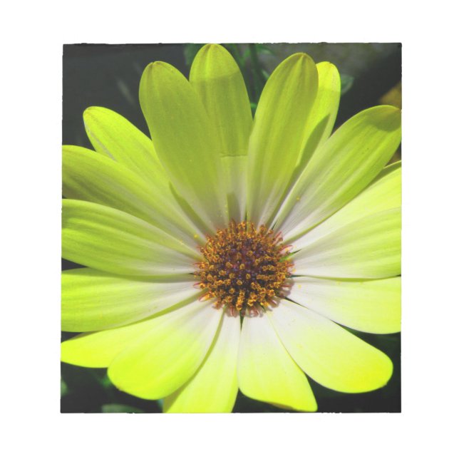 Bloc de notas amarillo fluorescente de flores de m (Frente)