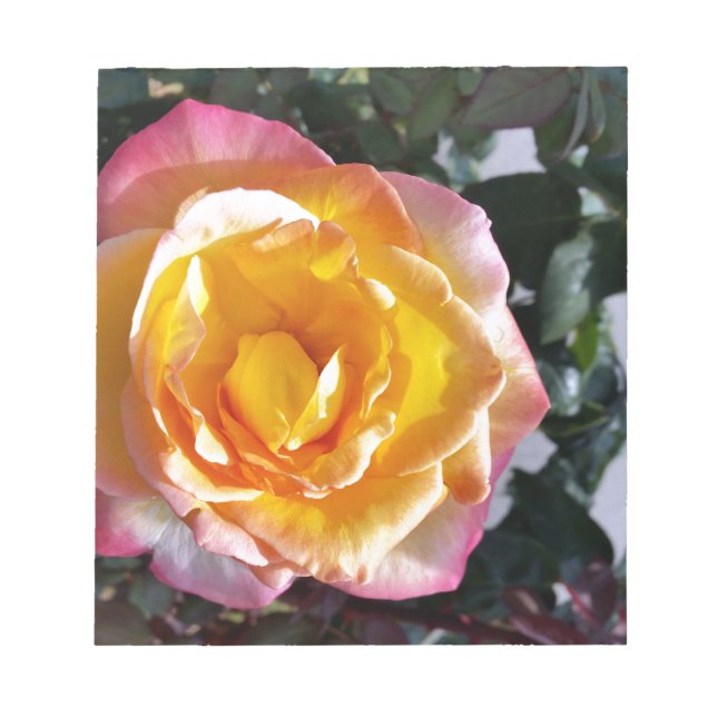 Bloc De Notas amarillo y rosa (Frente)