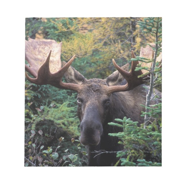 Bloc De Notas América del Norte, Canadá, Nueva Escocia, Cabo Bre (Frente)