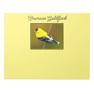 Bloc De Notas American Goldfinch - Fotografía original