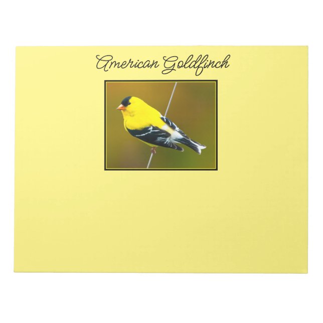 Bloc De Notas American Goldfinch - Fotografía original (Frente)