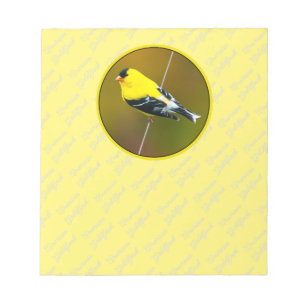 Bloc De Notas American Goldfinch - Fotografía original
