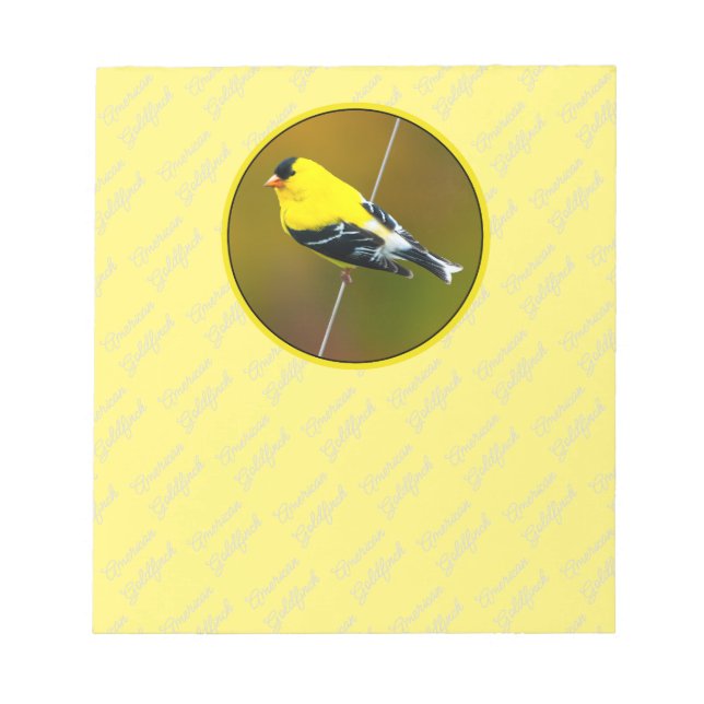 Bloc De Notas American Goldfinch - Fotografía original (Frente)