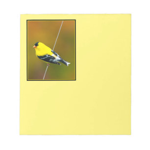 Bloc De Notas American Goldfinch - Fotografía original