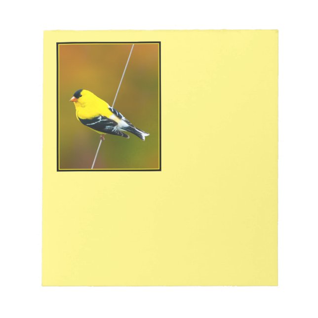 Bloc De Notas American Goldfinch - Fotografía original (Frente)