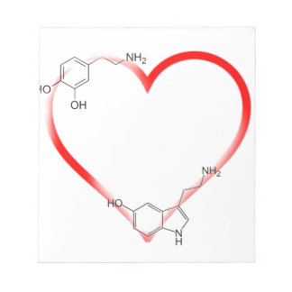 Bloc De Notas Amo Chem