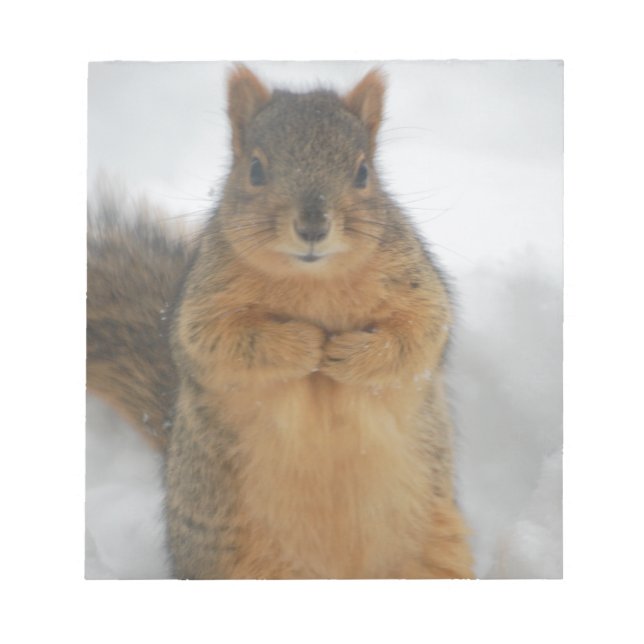 Bloc De Notas Amor a las ardillas (Frente)