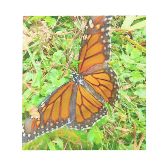 Bloc De Notas Amor natural (Frente)