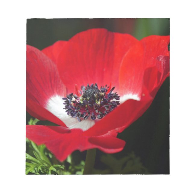 Bloc De Notas Anemone rojo.JPG (Frente)