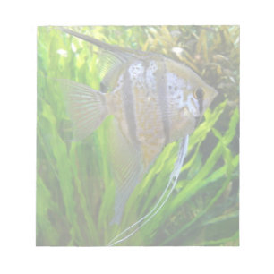 Bloc De Notas Angel Fish