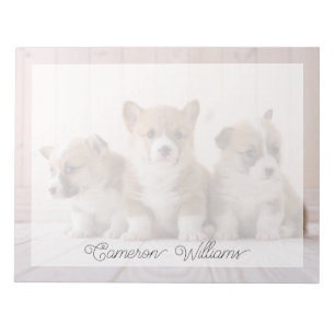 Bloc De Notas Animales Bebés más Lindos 3 Corgis Bebés