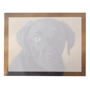 Bloc De Notas Animales Bebés más Lindos Cachorro de Labrador N