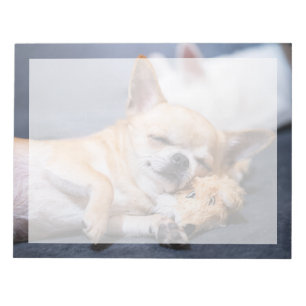 Bloc De Notas Animales Bebés más Lindos   Perro Chihuahua de Pel
